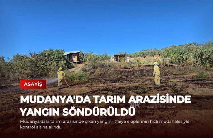 Mudanya’da Tarım Arazisinde Yangın Söndürüldü